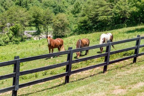 Hotel Brasstown Valley Resort & Spa