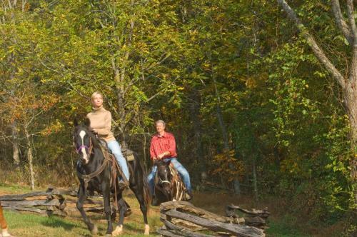 Hotel Brasstown Valley Resort & Spa