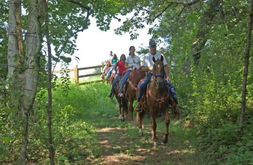 Hotel Brasstown Valley Resort & Spa
