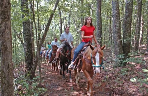 Hotel Brasstown Valley Resort & Spa
