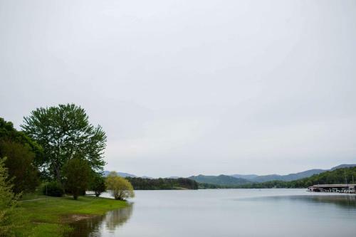 Hotel The Ridges Resort & Marina