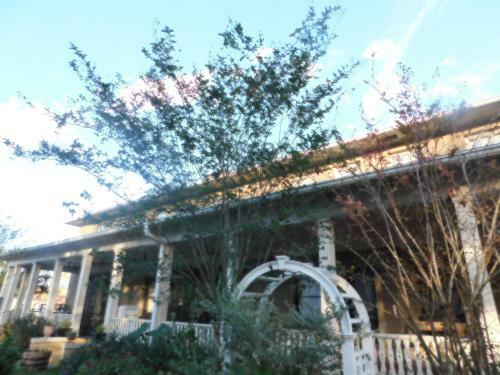 Cassadaga Hotel And Spiritual Center