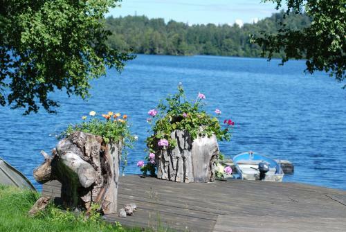 Daniels Lake Lodge B&B