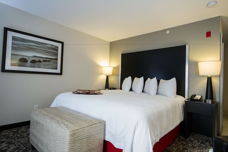 Hotel Hampton Inn & Suites Dupont
