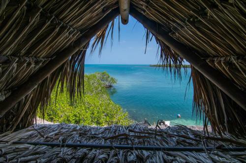 Isla Roots Hostel