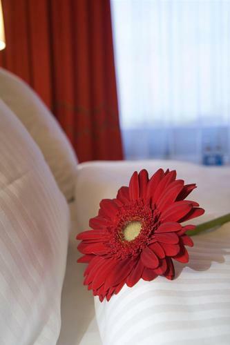 Posada Park Inn By Radisson Sharon