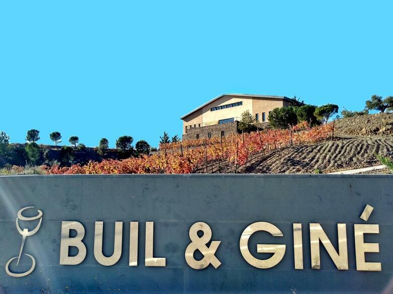 Hotel-celler Buil & Gine