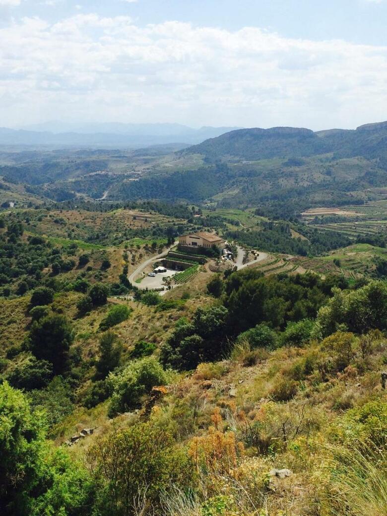Hotel-celler Buil & Gine