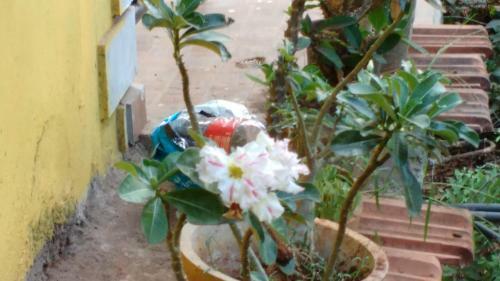 Hostal Aguiar Guest House