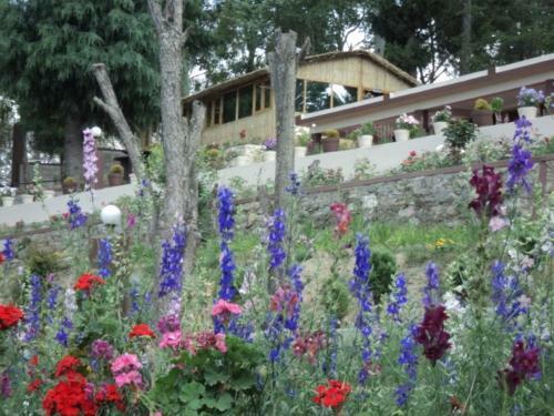 Hotel Xomotel Ranikhet Heights