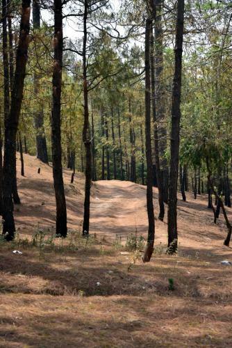 Hotel Xomotel Ranikhet Heights