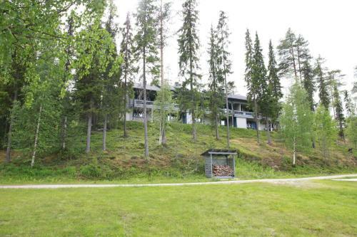 Hotel Paljakka M�kit