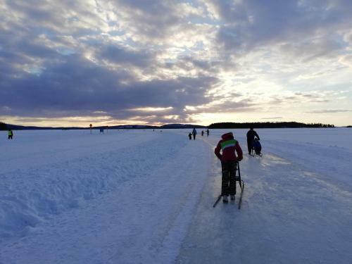 Lake Pielinen Lodges