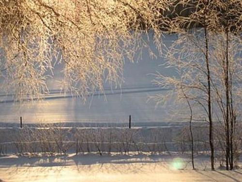 Holiday Home J�rvilehto