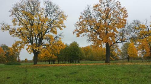 Agroturismo Usadba Beregovaya