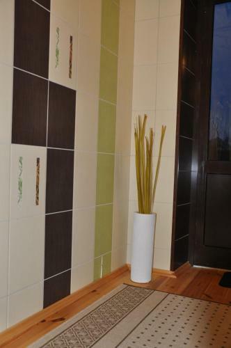Hostal Guesthouse Na Borovoy