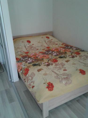 Apartment Domeiko 11