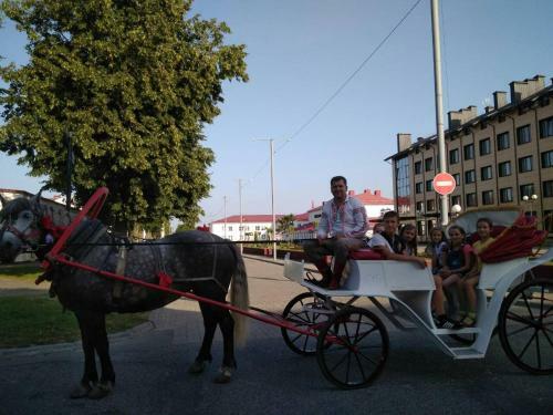 Hostal Agrousadba Nyasvizhski Mayontak