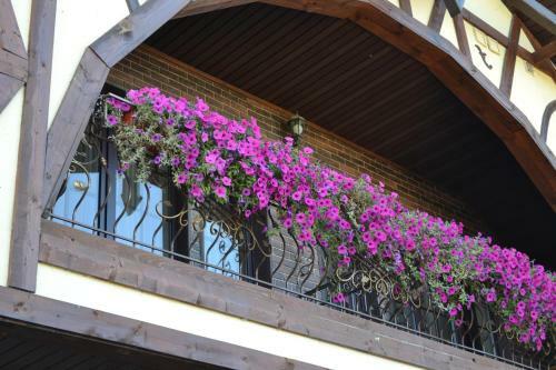 Hotel Ptich