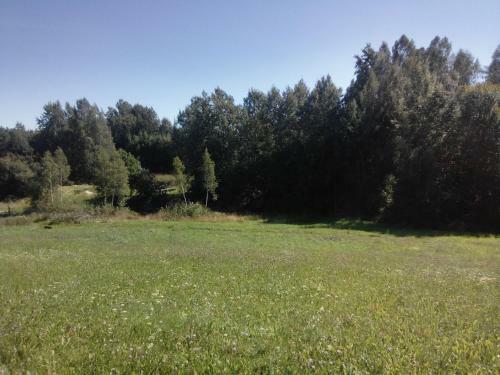 Apartamento Agrousadba Dom Lesnika