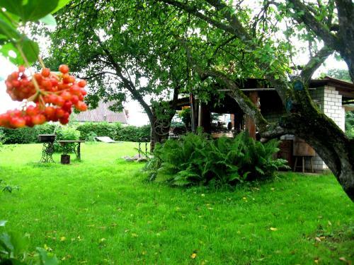 Agroturismo Usadba 4 Seasons