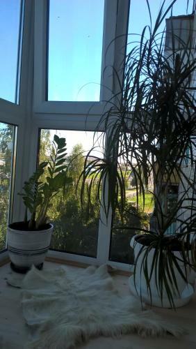 Apartment On Tereshkovoy 26