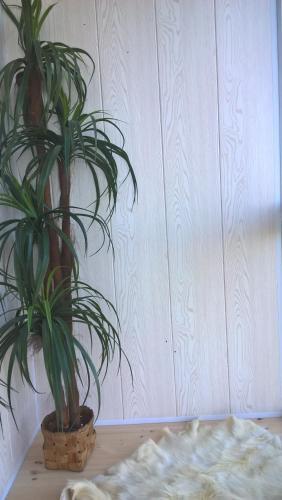 Apartment On Tereshkovoy 26