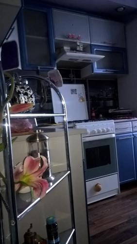 Apartment On Tereshkovoy 26
