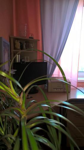 Apartment On Tereshkovoy 26