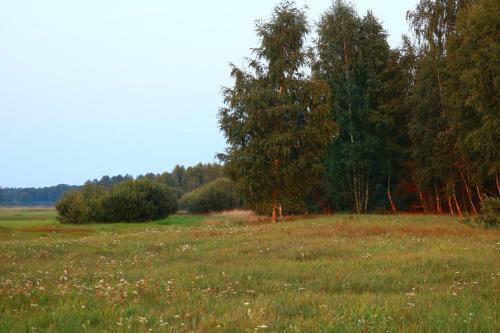 Agroturismo Mshanka Estate