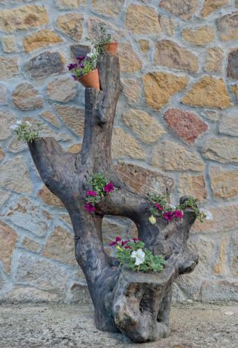 Hotel Rural Santa In�s