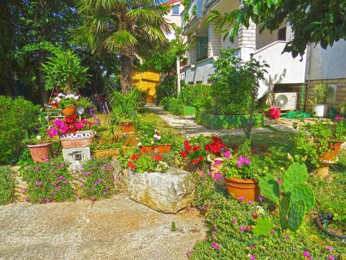 Apartments Milica 961