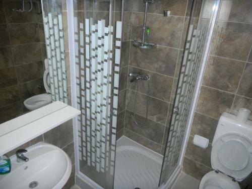 Apartment Zoran Po?esi