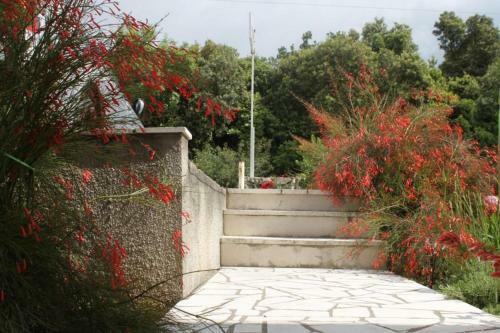 Apartments With A Parking Space Cavtat (dubrovnik) - 8986