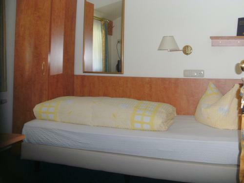 Hostal Zum Rosenbachschen L�wen