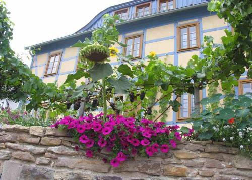 Apartamento In Der Alten Weinstube
