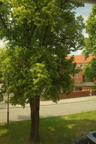 Apartamentos Fewo Auf Der Dominsel-domlinden