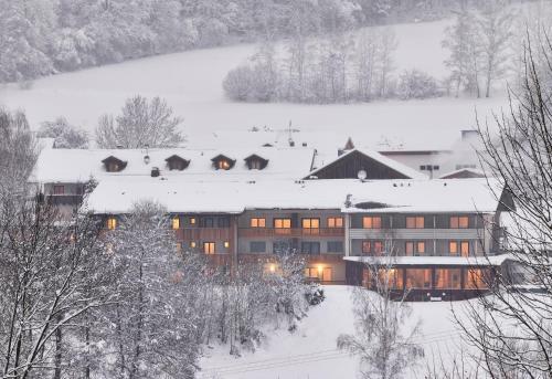Das Fritz Hotel Der B�ume