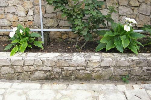 Apartment Pirovac 470b