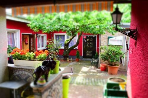 Hostal Pension Hollyday