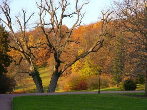 Wunder