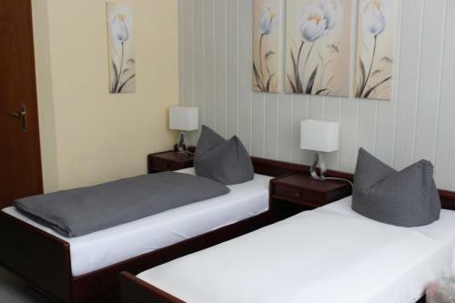 Hostal Gasthof Und Pension Frankenthal