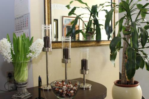 Hostal Gasthof Und Pension Frankenthal