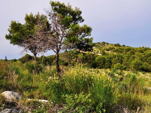 Holiday Home Panorama.3