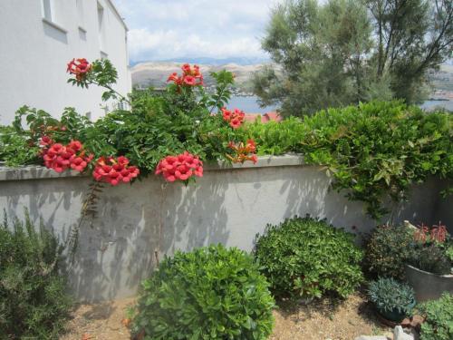 Apartment Veronika 047-105