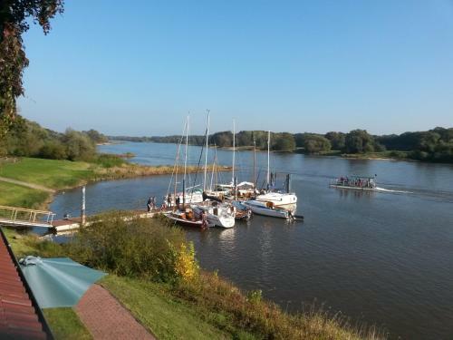 Hostal Elbterrassen Zu Brambach