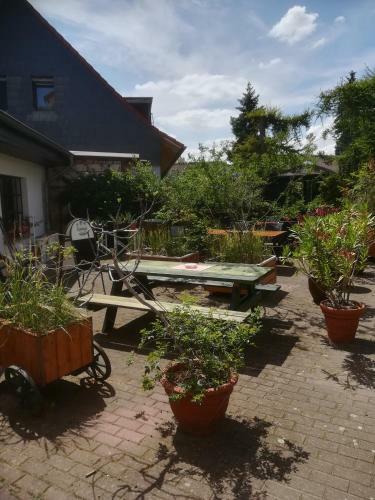 Hostal Hotel L�wenhof