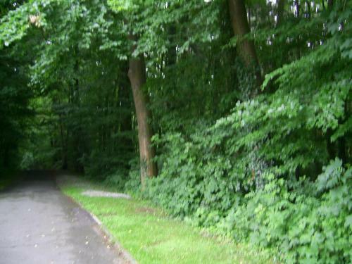 Hostal Waldpension Brake