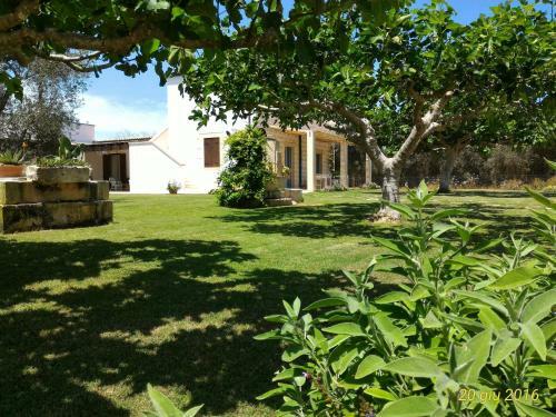 Agroturismo Masseria Vignenove
