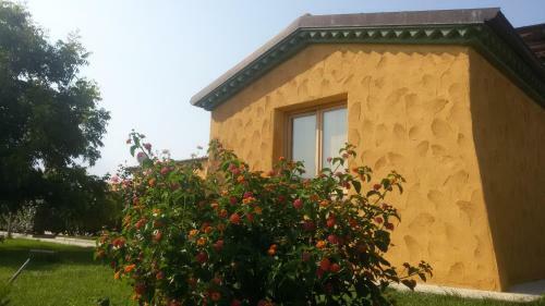Hotel Lido Orr� Resort